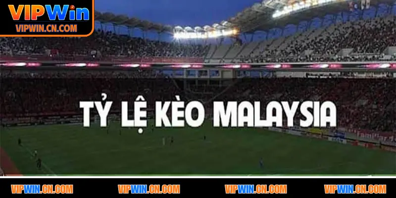 Cách đọc kèo Malaysia đơn giản, dễ thắng