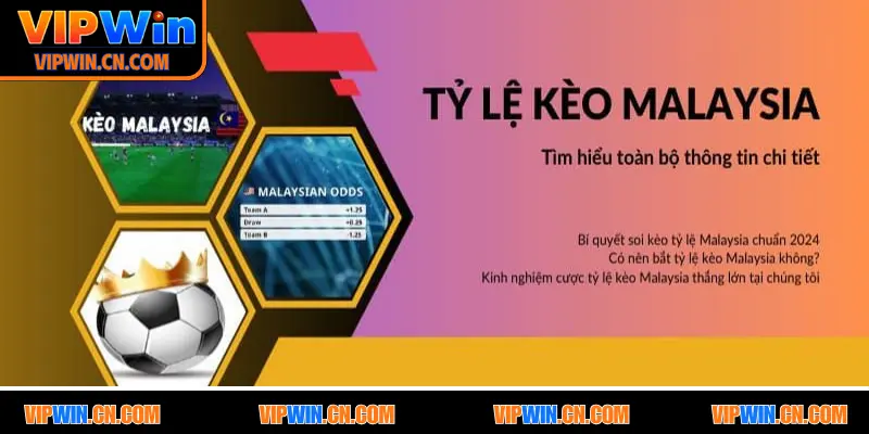 Những ưu điểm lớn khi đặt cược tại sân chơi VIPWIN